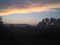 image-3207510784.jpg