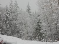 DSCN4054.JPG