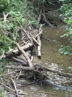 IMG_8662.jpg