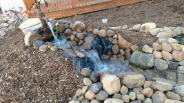 pond 3.jpg pond 3.jpg
