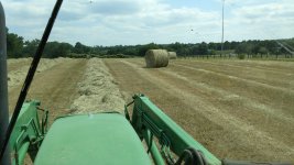 17hay4.jpg
