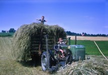 Original Curt and Mark with Steyr bringing in the hay (2).jpg