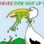 Never Give Up.jpg