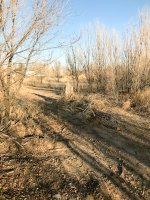 IMG_5721.jpg