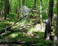 IMG_6571.jpg
