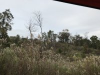 IMG_2365.JPG