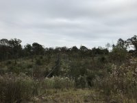 IMG_2364.JPG