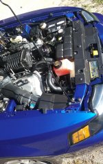 20170827_091023.jpg
