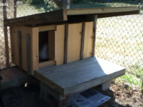 Doghouse 1.PNG