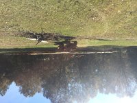 IMG_1882.JPG