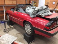 alfa2.jpg