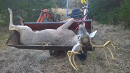 10 pt deer kill Dec 2017 small.jpg