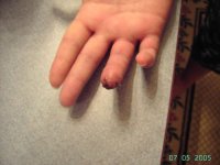 687385-PICT0004-f.jpg