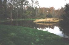 687515-Pond_I.JPG