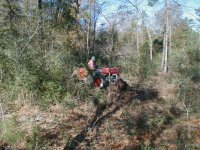 843559-Rake-21.JPG