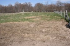645928-pasture.JPG