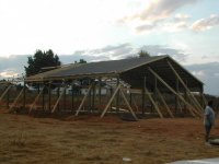 768493-Building Day 4.jpg