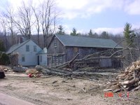 727203-Tree15.jpg