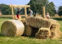 689240-hayride.jpg