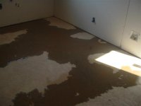 727695-Workshop 462 (Small).jpg