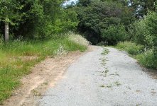 646716-IMG_3216rDriveway.jpg