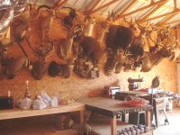 727708-Workshop 468 (Small).jpg