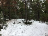 IMG_0145.JPG