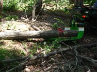 sled Pulling_long_log_through_brush.JPG