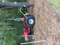 IMG_0383[1].JPG