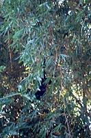 thumb-DSC02239.jpg