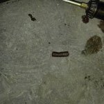 20171118_140239.jpg