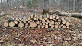 20171117_123143.jpg