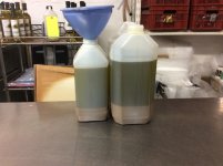 Basil-Oil-Decanting.JPG Basil-Oil-Decanting.JPG