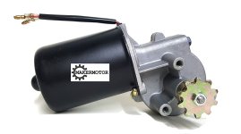 Gear Motor.jpg