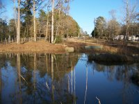 1-14-18 Blue Water Pond Duck Nest.jpg