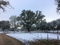 IMG_1640.JPG