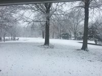 March snow.JPG