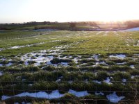 Ridge and furrow.jpg
