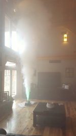 Fogger1.jpg