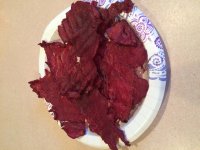 IMG_1139.JPG IMG_1139.JPG
