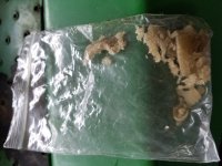 20171217_101740.jpg