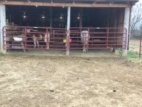 IMG_0821.JPG