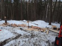 20180325_173025.jpg