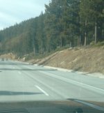 ConcreteRutsA.jpg ConcreteRutsA.jpg