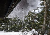 Icicles in March 2018a.JPG