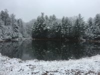 IMG_7985.JPG