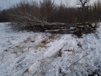 20171125_165757.jpg