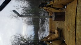 IMG-20171126-WA0001.jpeg