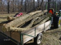 Farm 2017 249.JPG
