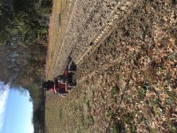 IMG_0436[1].JPG